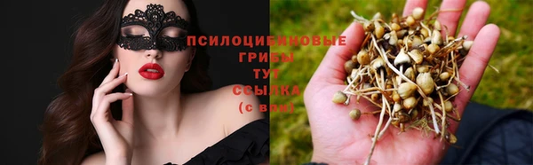 кокаин Арсеньев