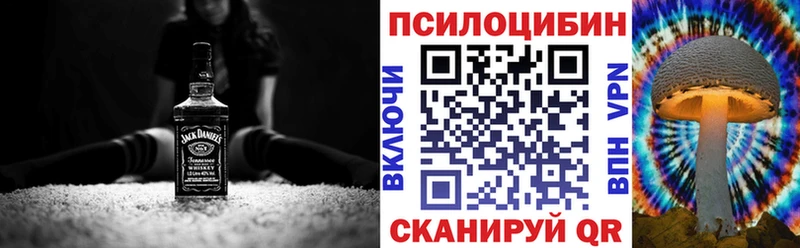 Купить где  Сясьстрой  Псилоцибиновые грибы Cubensis 